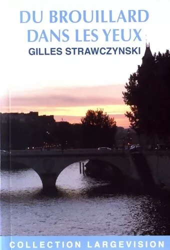 3111824 - Du brouillard dans les yeux - Gilles Strawczynski