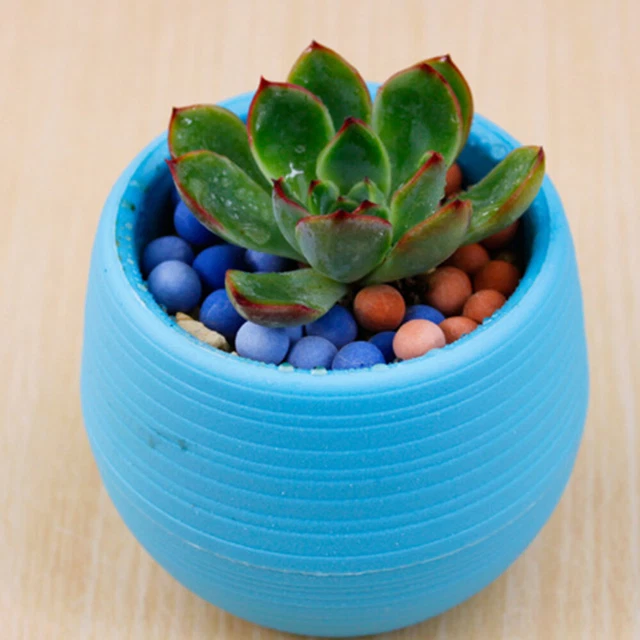 Petits Contenants Pots D'intérieur Pour Plantes Jardinières
