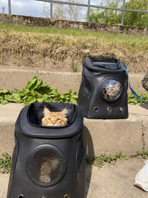 Sac A Dos Pour Chat Ou Petit Chien Idéal Pour Balade