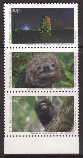Brazil, Fauna, Animals MNH / 2012