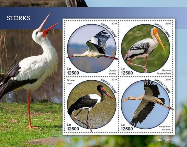 STORKS 4v-Value MNH Water Birds/Bird Stamp Sheet #615 (2019 Sierra Leone)
