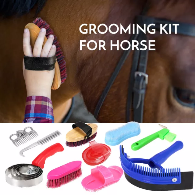 Equestrian 10-IN-1 Horse Grooming Kit Brush Comb Hoof Pick Sweat Scrape N8G7