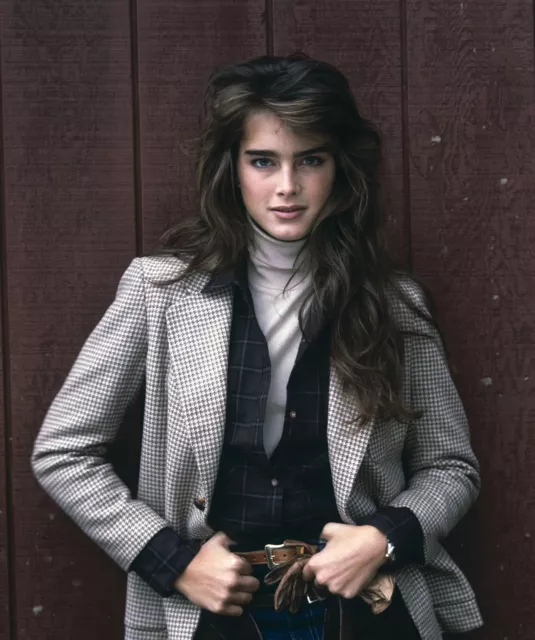 Model & Actress Brooke Shields Classic 1980s Picture Photo Print 8"x10"