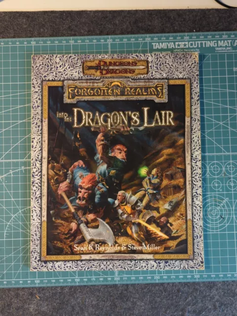 Dungeons and Dragons, Forgotten Realms Into the Dragon's Lair