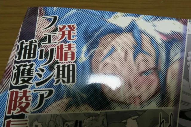 SONIC THE HEDGEHOG Doujinshi SILVER X BLAZE (B5 36pages) mitsuki Sky High