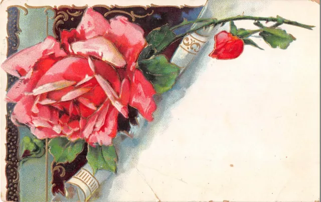 Gorgeous Pink Rose on 1910 Postcard - Serie 1420