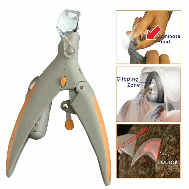 Pet nail clipper with light and magnifier cheap