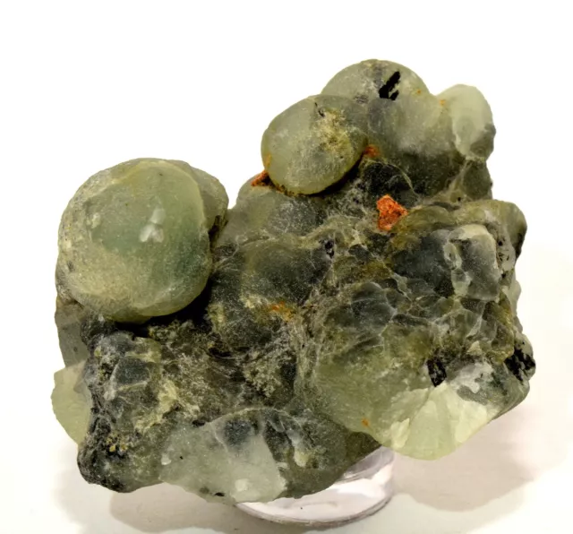 240ct Frizzante Rich Verde Prehnite Cluster Naturale Pietra Cristallo Minerale -