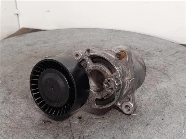 galet tendeur pour MERCEDES CLASE C (BM 203) BERLINA 2.2 220 DI (LA) 1008772