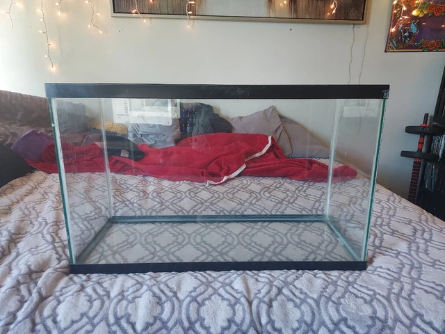 20 Gallon Fish Tank Aquarium Desktop Beta Family Hobby Home Office Entertainment
