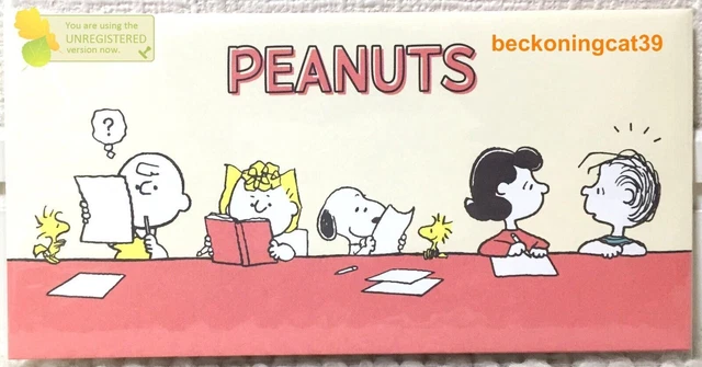 Enveloppe d'argent Sun-Star Peanuts 3 Snoopy et ses amis Cadeau 2023...