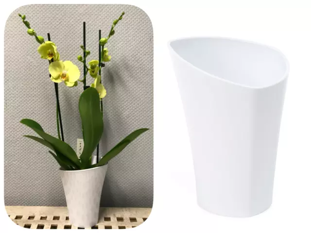 Orchideentopf Übertopf Rund Blumentopf Kunststoff Pflanzentopf Weiß