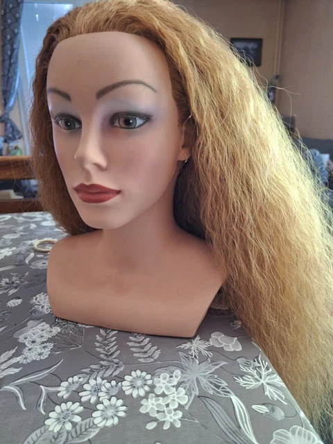 Tête à Coiffer 66 Cm Cheveux Synthétiques Ombre Pink - Pour Entraînement Coiffure - Neuf