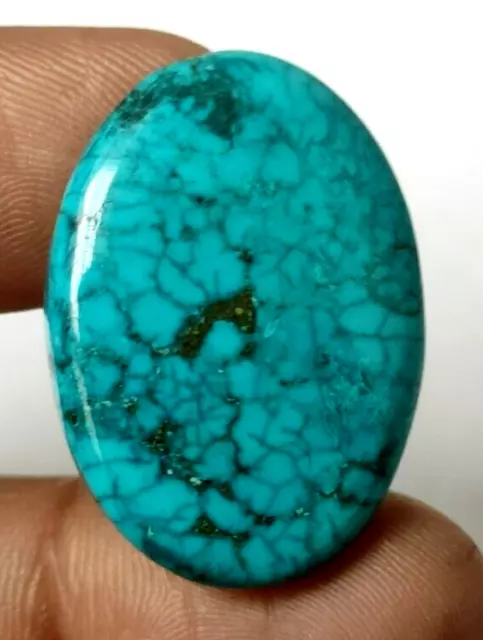 36.40 Ct. Natural Blue Mountain Turquoise Untreated Pear Cabochon Loose Gemstone