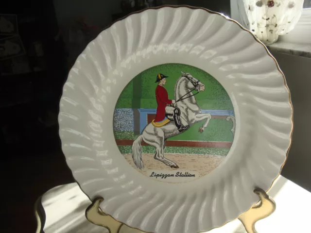 Lipizzan Stallion Porcelain Horse Plate 10" Gold Trim