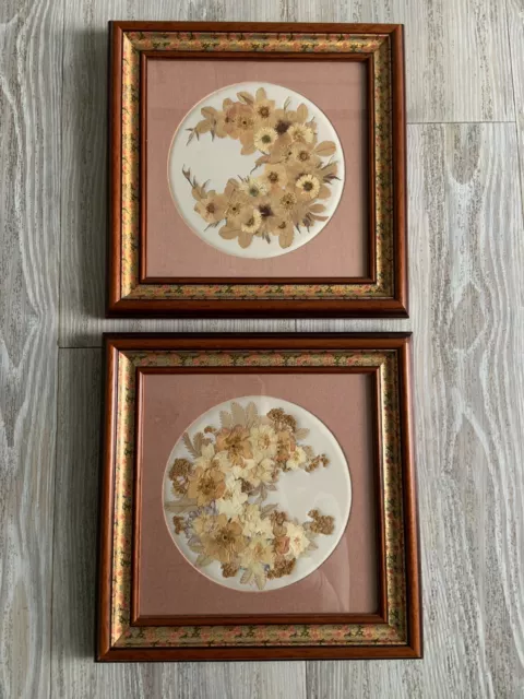 Pair Of Rustic Vintage Retro Framed Small Pressed Dried Flowers Joanna sheen