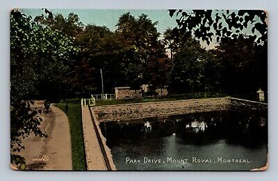 Mount Royal Montreal Canada Park Drive Mountain in the City Postcard