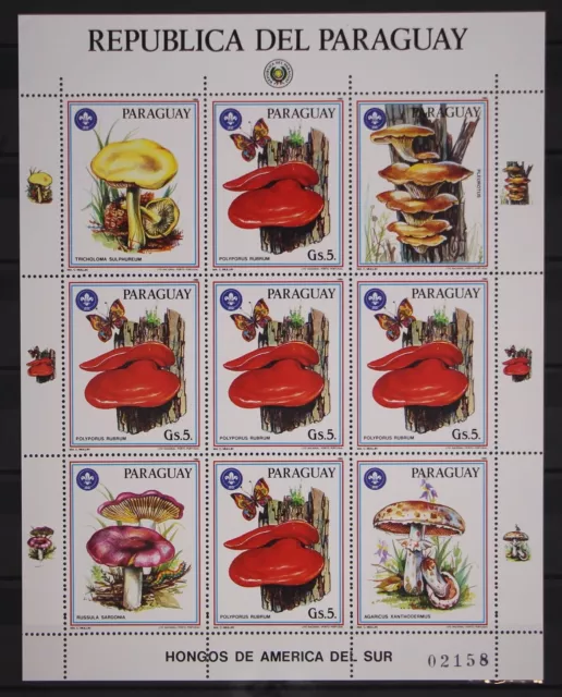 Paraguay Small Bow 3956 Mint Mushrooms #GC294