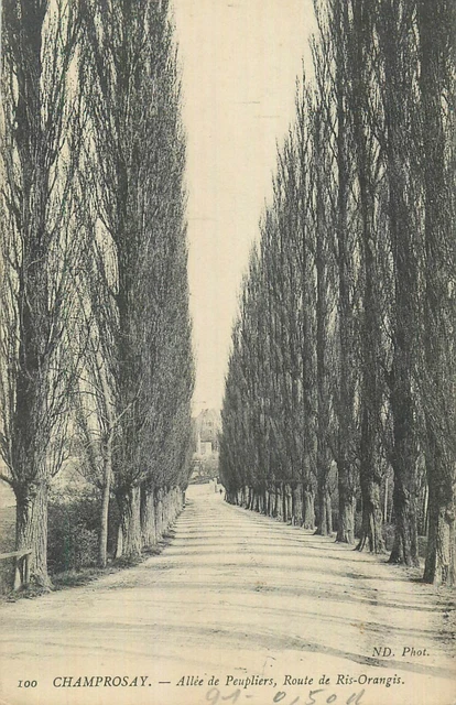 91 Champrosay Allee Peupliers Route De Ris-Orangis