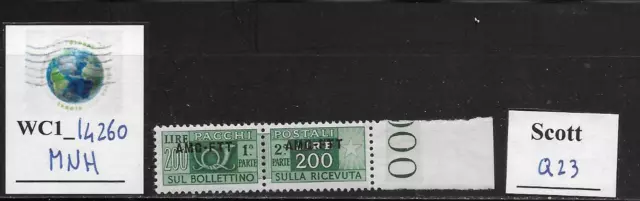 WC1_14260. ITALY: TRIESTE FTT. 200 L. 1949-54 parcel post stamp. Scott Q23. MNH