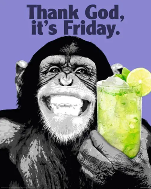 The Chimp - Friday Tier Plakatkunst Animal Mini Poster Plakat Druck