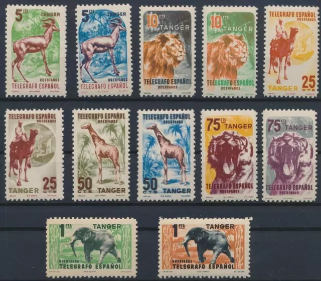 Top300 -  Spanish Tanger (Morocco) (Telegrapho Espinol) Wild Animal Stamps Mnh