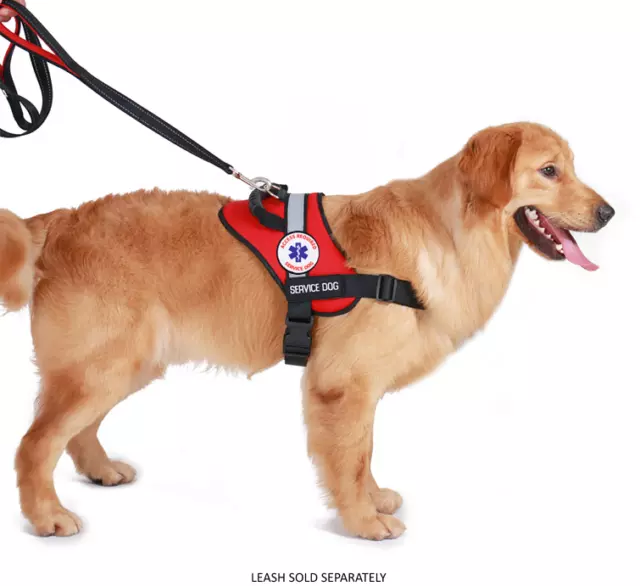 Service Dog - Therapy Dog - ESA Dog - Harness Vest Waterproof ALL ACCESS CANINE™