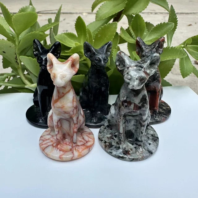 5pcs Natural Mixed Hairless Cat Quartz Crystal Skull Carved Figurines Reiki 2"