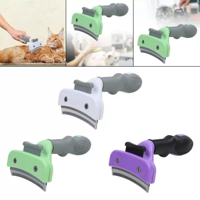 Brosse pour chat, peigne pour chien, épilateur pour lapins, petits, moyens et