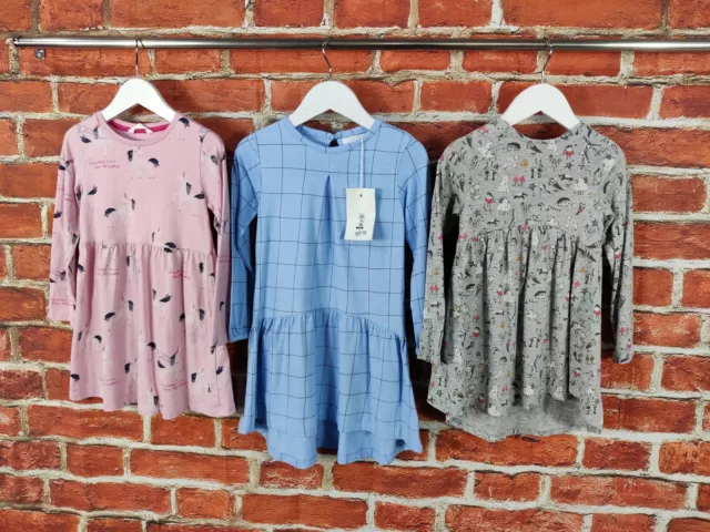 Girls Bundle Age 3-4 Years M&S Next Etc Long Sleeve Dress Unicorn Animals 104Cm