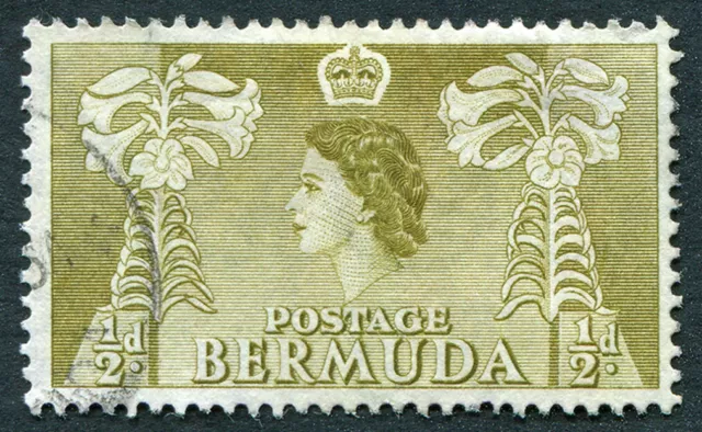 BERMUDA 1954 1/2d yellow-olive SG135a used NG Easter Lilies #A02