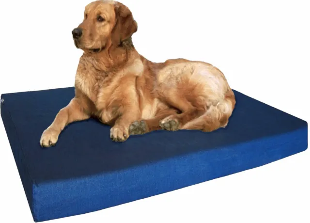 Memory Foam Dog Bed + Durable Denim Waterproof Orthopedic Medium to Large XL Pet