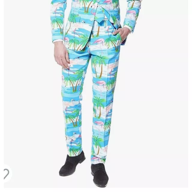 Opposuits Mens Party Costume Pants Flaminguy size 50 (4XL)