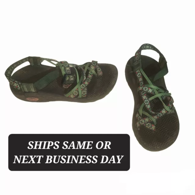 Chaco discount creed pine