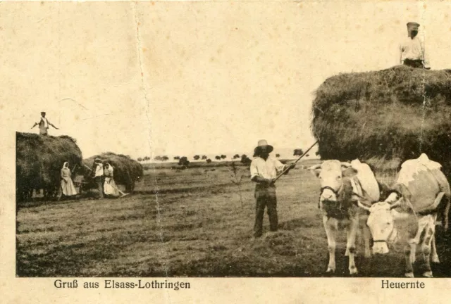 Gruss aus Elsass Lothringen Heuernte Souvenir Alsace Lorraine Agriculture Foins