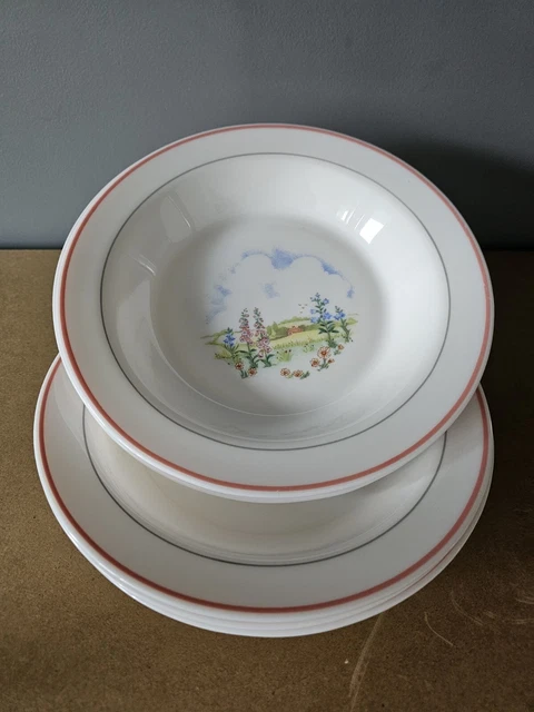 6 ASSIETTES CREUSES FLEURS roses de France ARCOPAL FRANCE 4474