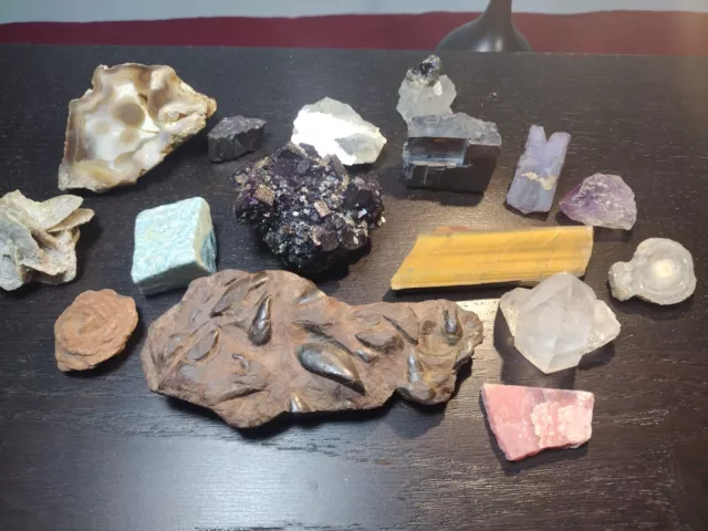 Mineral Gemstone Fossil Specimen Lot