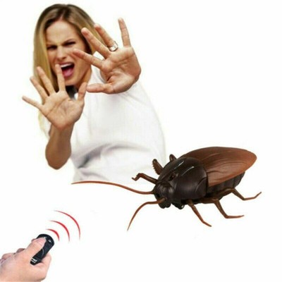 realistic fake remote control cockroach