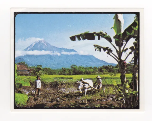 Sanitarium NZ. Discover Indonesia 1977. Volcano