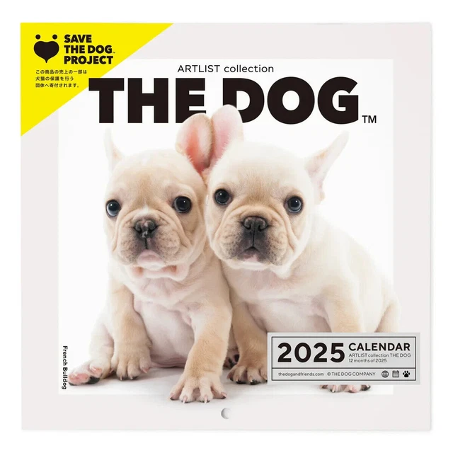 KIWISTAR - Adesivo Murales Con Bulldog Francese, 6 Misure, Decorazione Parete