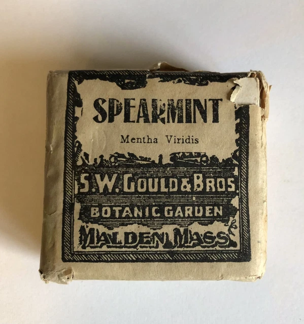 ANTIQUE 1900s APOTHECARY PACKAGE SW GOULD & BROS SPEARMINT LEAVES MALDEN MASS