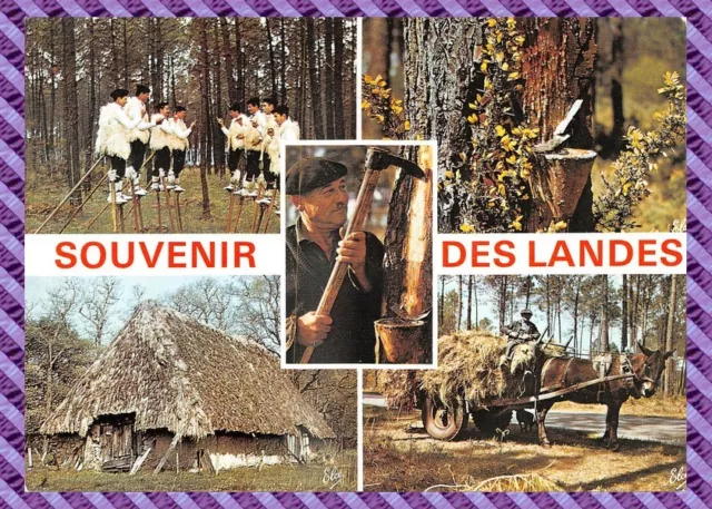 Carte postale SOUVENIR DES LANDES