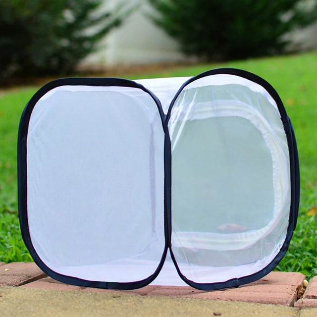 Dragonfly Habitat House Outdoor Activities Toys Net Cage Kids Box