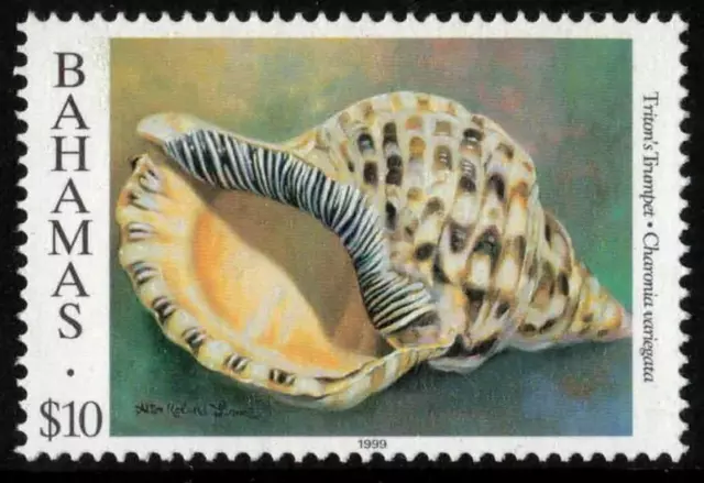 Bahamas Shells. Scott #864c $10.00 Triton's Trumpet. M.N.H. Inscribed 1999
