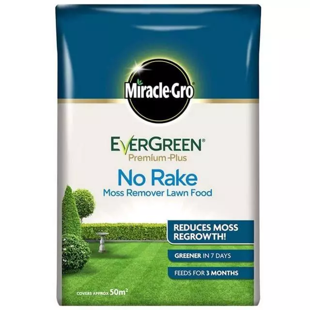 Evergreen No Rake Moss Remover 50Sqm