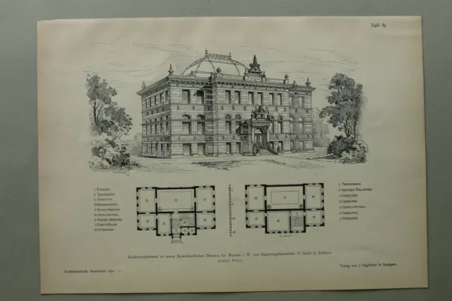 AR91) Architektur Münster 1891 Naturhistorisches Museum Treppe Holzstich 28x39