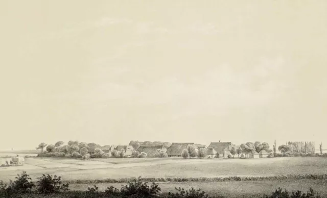 SCHWARTBUCK - Gut Schmoel- Hornemann's Güter Holstein's – Tonlitho 1850