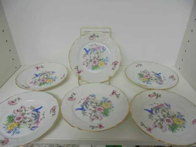 6 x Rosenthal  Phillip Selb-Bavaria, Sanssouci, weiß, Dessertteller, D 15,5