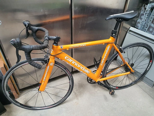 Cannondale 700 2025