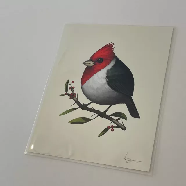 Mike Mitchell Red Crested Cardinal 2017 Fat Bird Kingdom SIGNED Black White